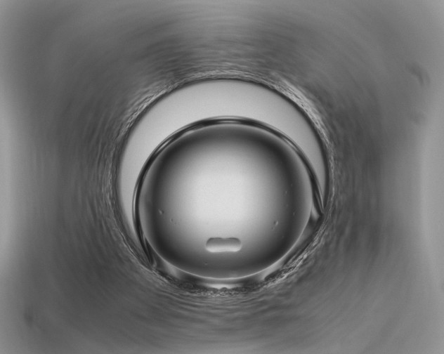 X0000113600105200909181400