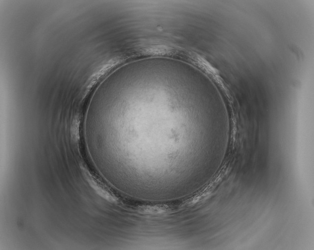 X0000113600106200909181400