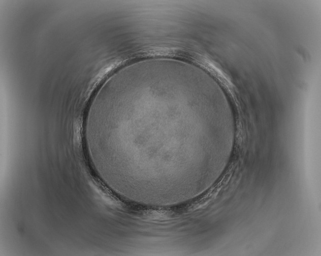 X0000113600107200909181400