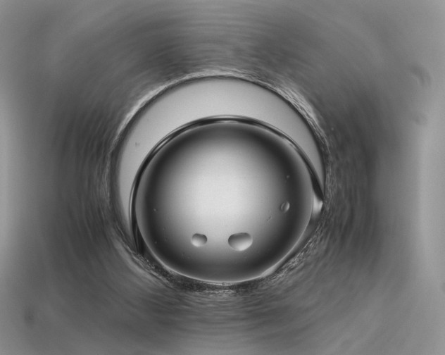 X0000113600108200909181400