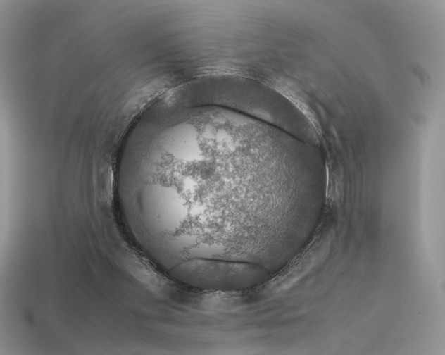 X0000113600109200909181400