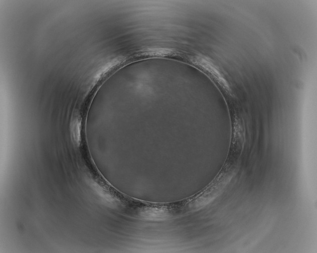 X0000113600110200909181400