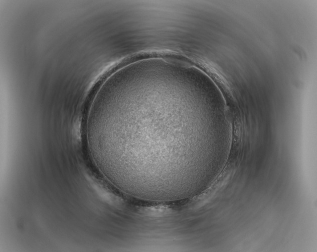 X0000113600112200909181400