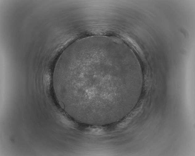 X0000113600113200909181400