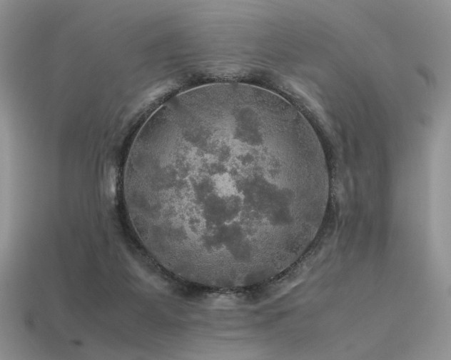 X0000113600115200909181400