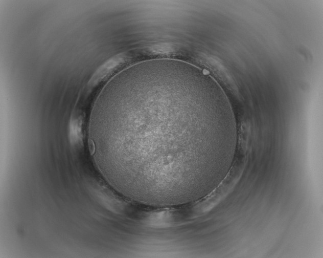 X0000113600116200909181400