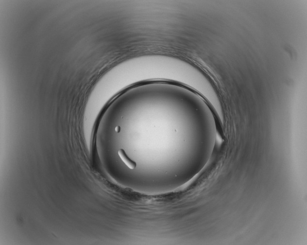 X0000113600117200909181400