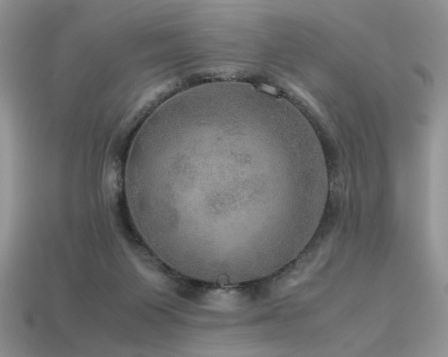 X0000113600119200909181400