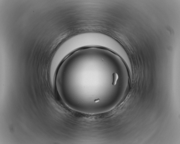 X0000113600120200909181400