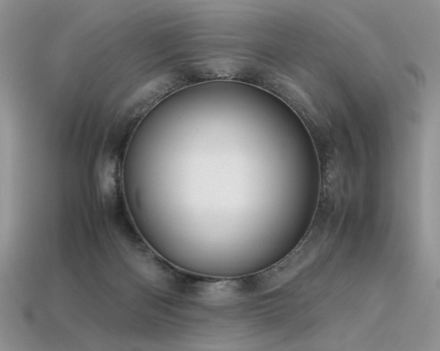 X0000113600122200909181400