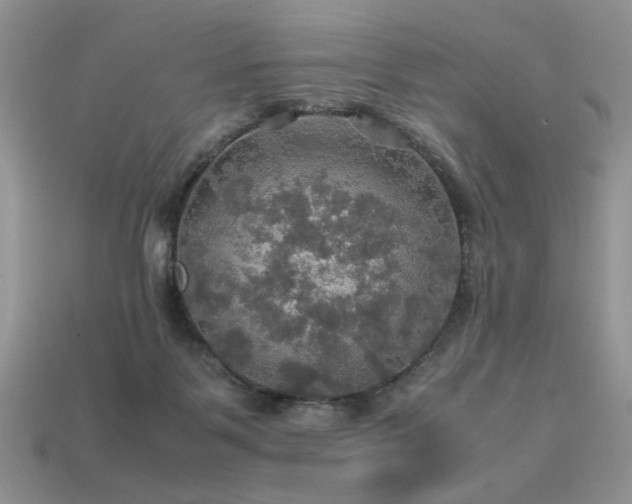 X0000113600123200909181400