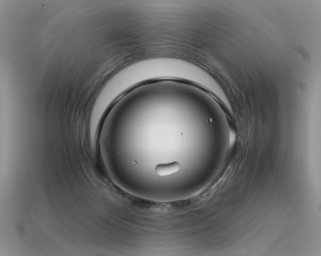 X0000113600124200909181400