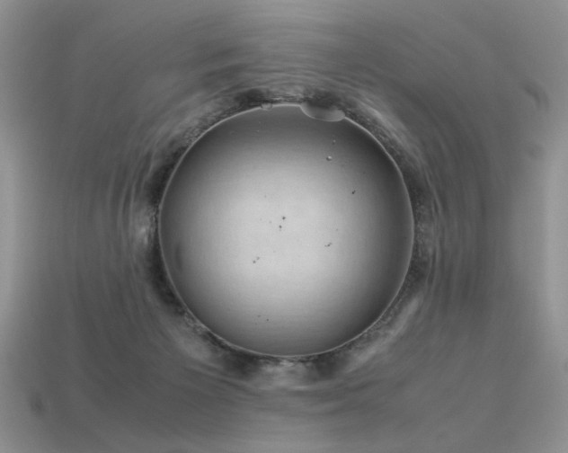 X0000113600125200909181400