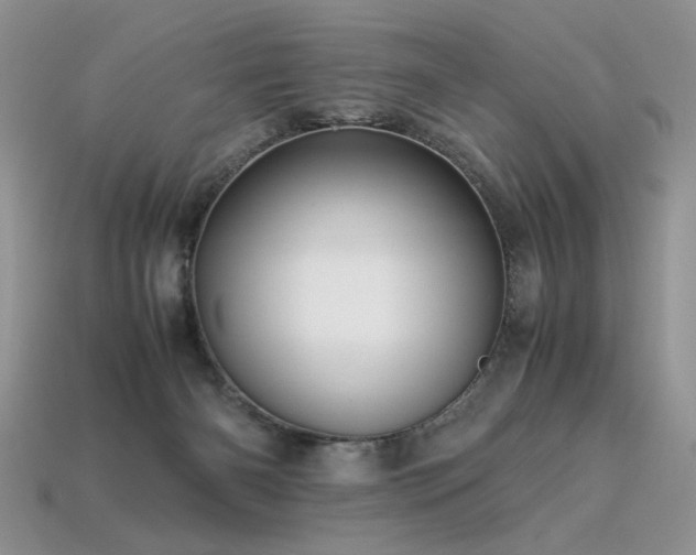 X0000113600126200909181359