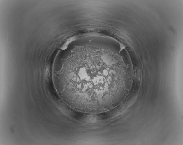 X0000113600127200909181359