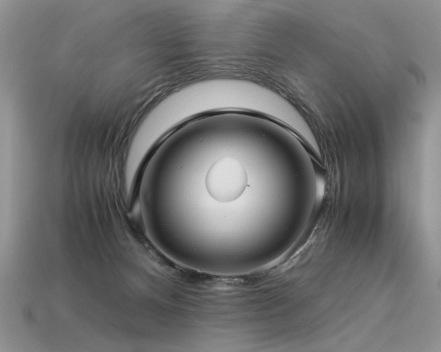 X0000113600128200909181359