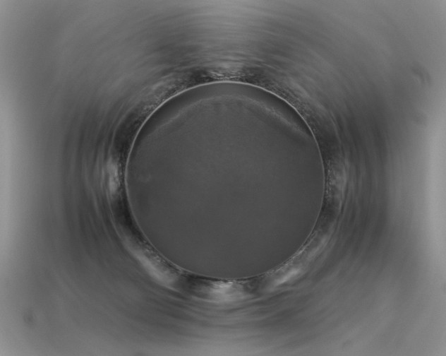 X0000113600130200909181359