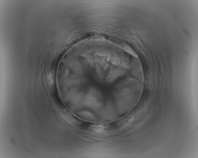 X0000113600131200909181359