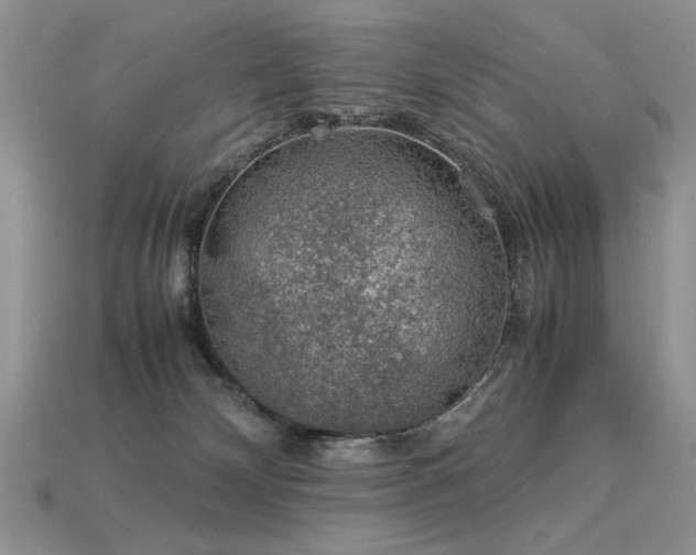 X0000113600132200909181359