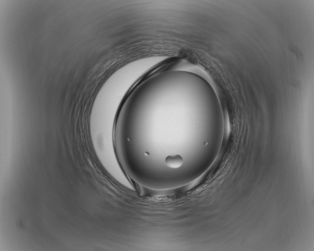 X0000113600137200909181359