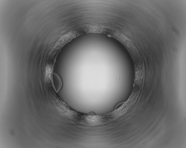 X0000113600142200909181359