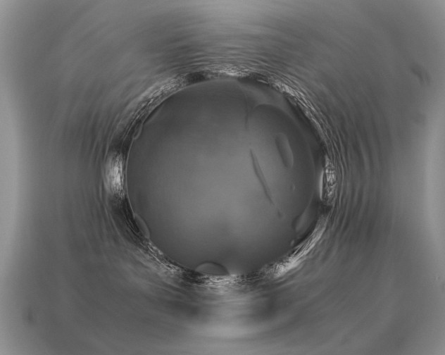 X0000113600143200909181359