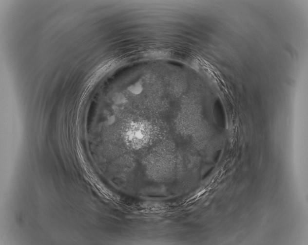 X0000113600145200909181359