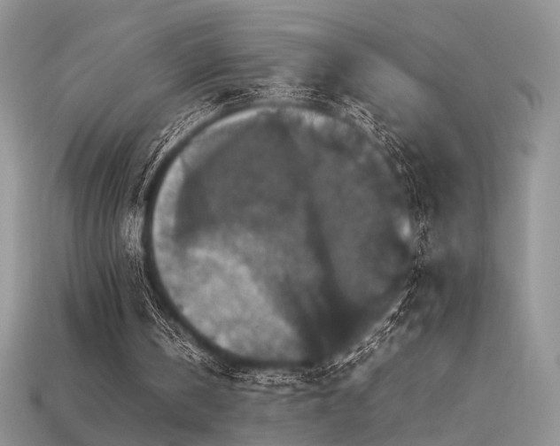 X0000113600146200909181359