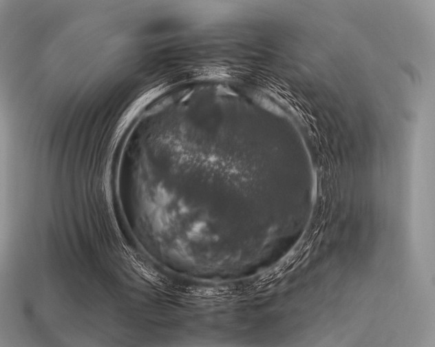 X0000113600147200909181359