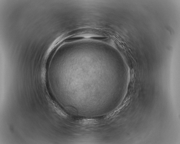 X0000113600150200909181359