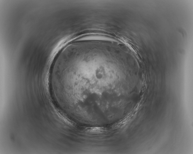 X0000113600151200909181359