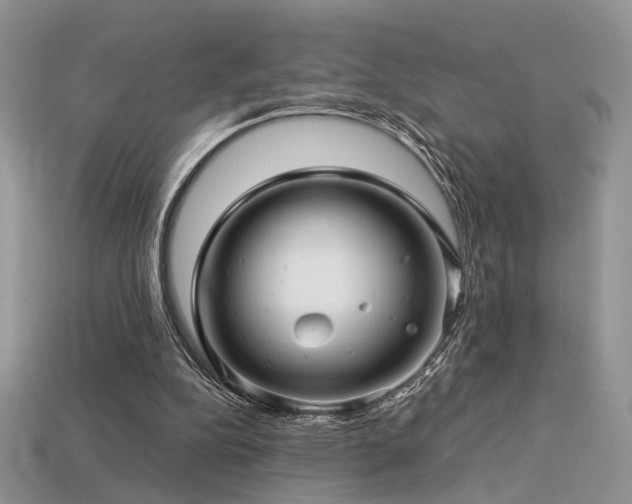 X0000113600152200909181359