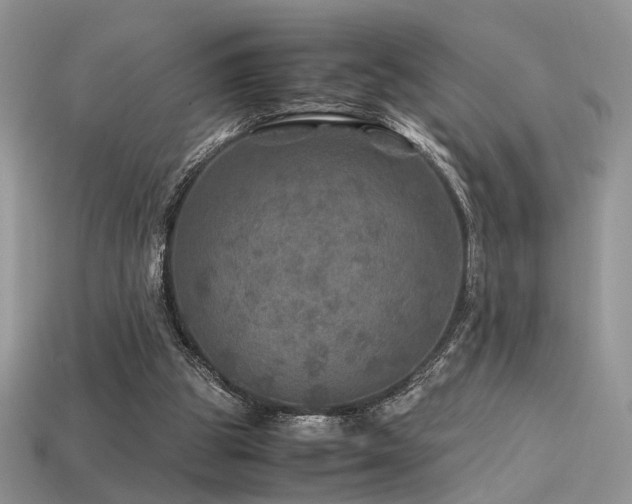 X0000113600153200909181359