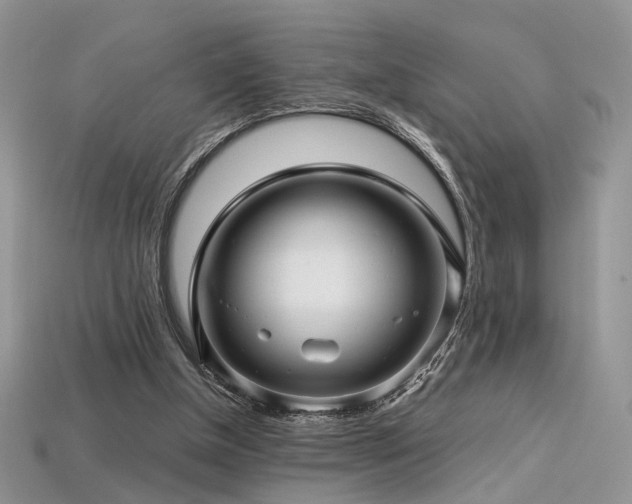 X0000113600154200909181359