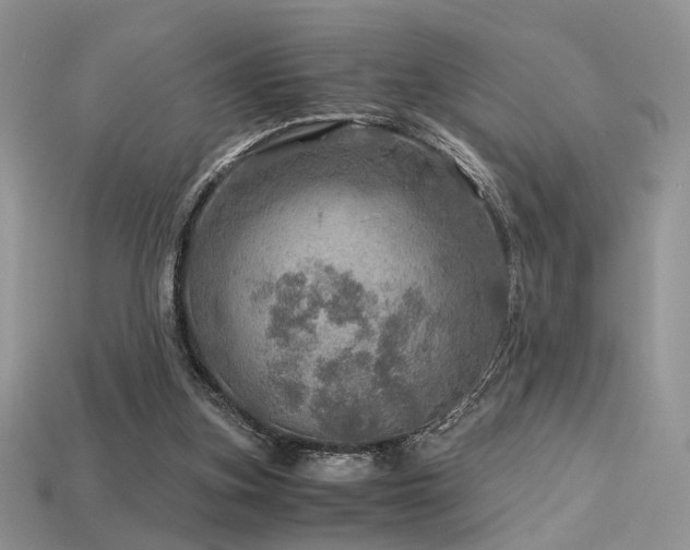 X0000113600155200909181359