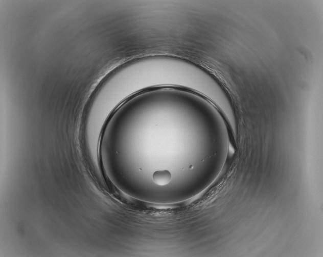 X0000113600156200909181359