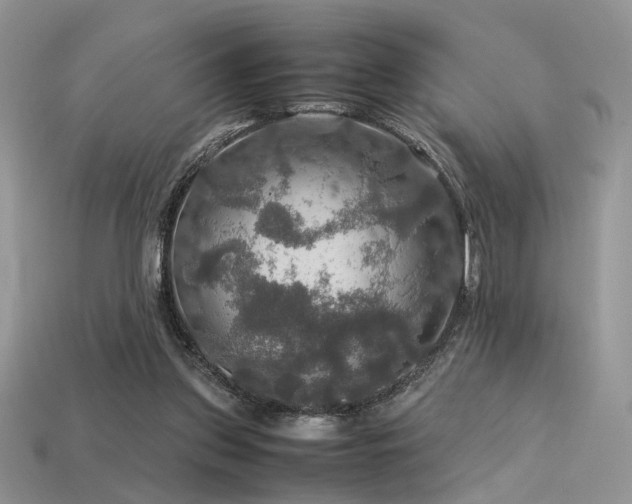 X0000113600157200909181359