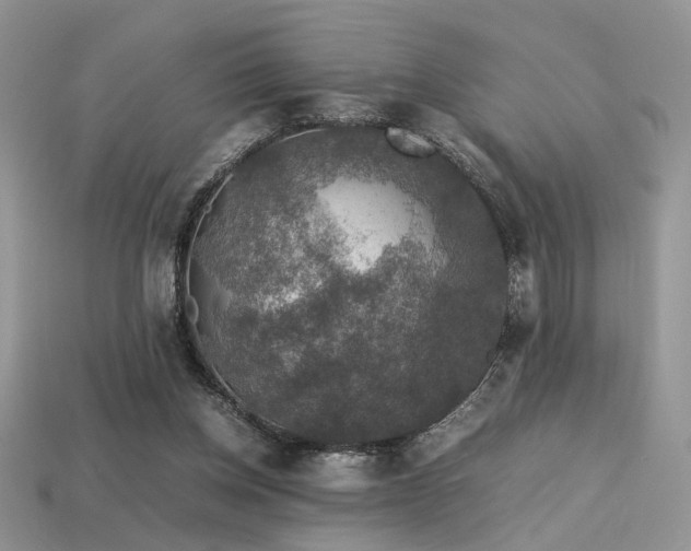 X0000113600158200909181359