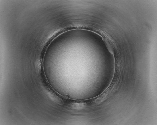 X0000113600160200909181359