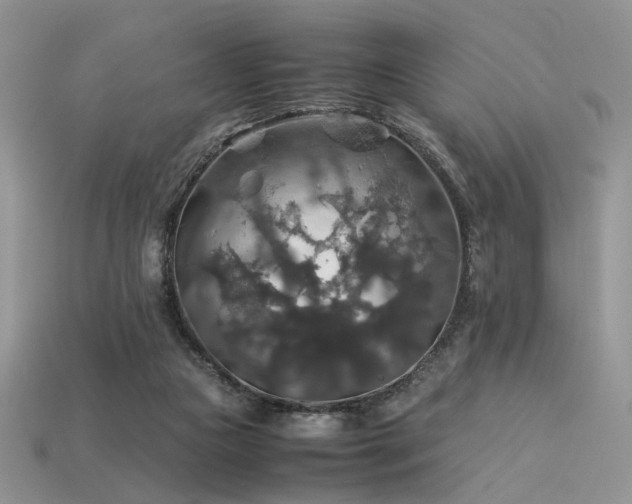 X0000113600161200909181359