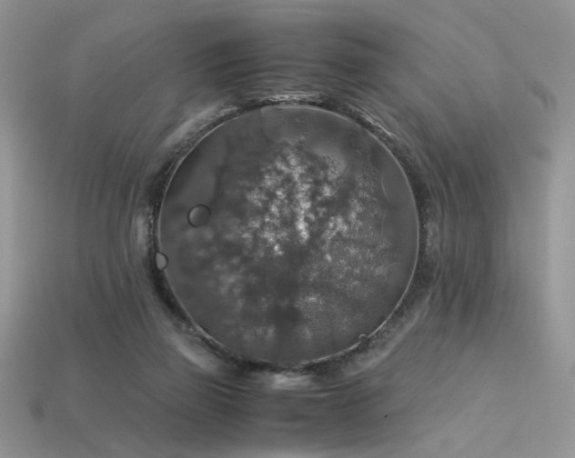 X0000113600165200909181359