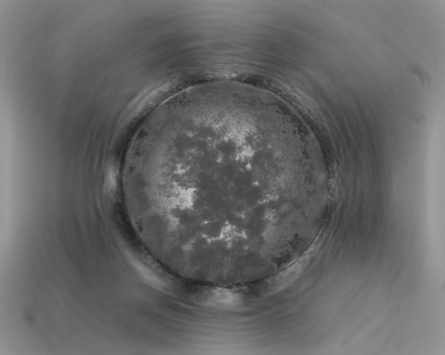 X0000113600166200909181359