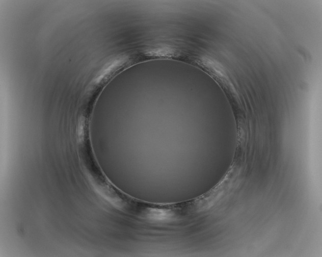 X0000113600167200909181359