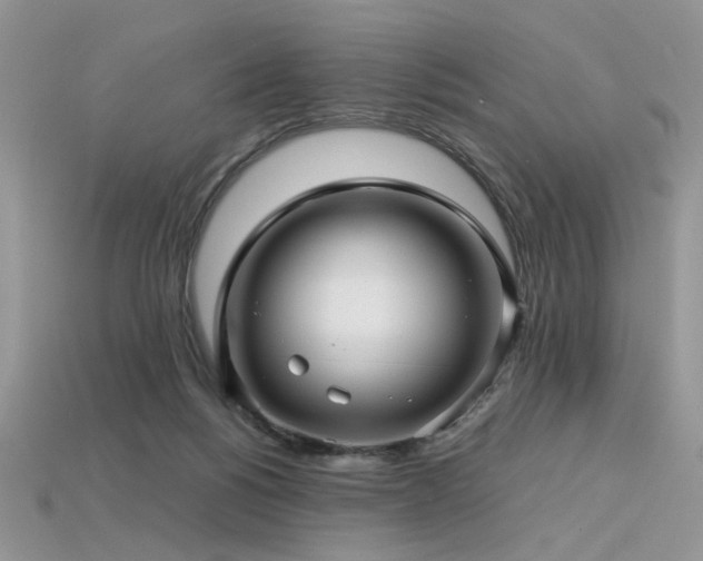 X0000113600168200909181359