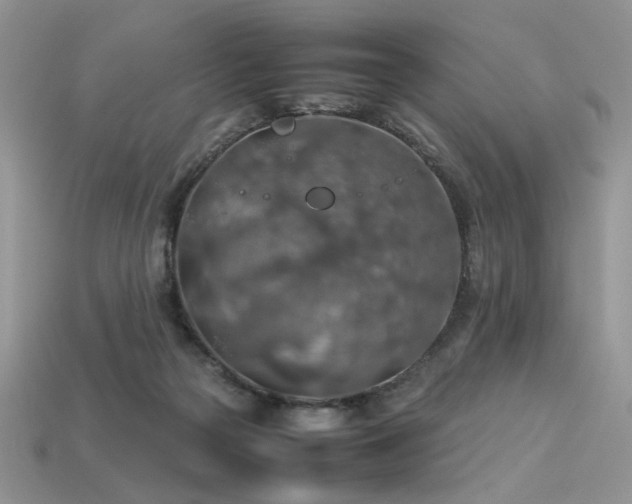 X0000113600169200909181359