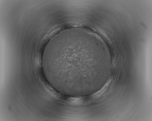 X0000113600170200909181359