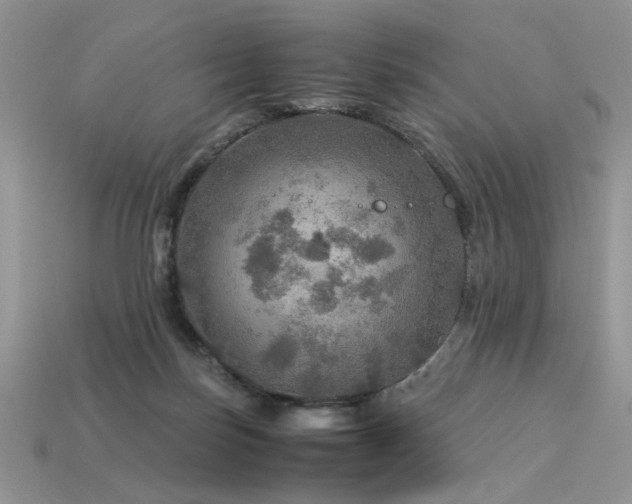 X0000113600171200909181359