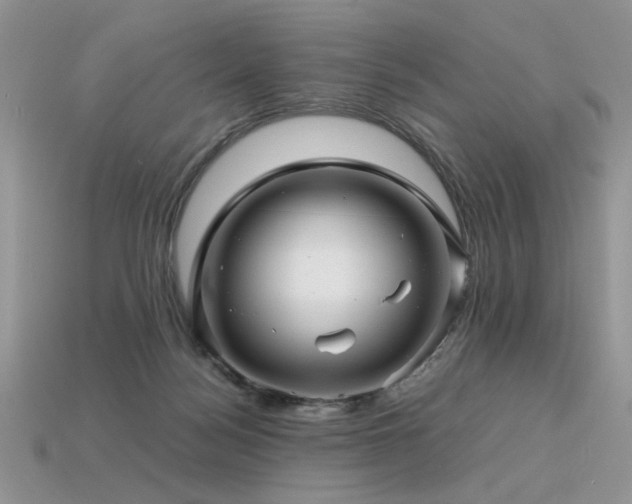 X0000113600172200909181359