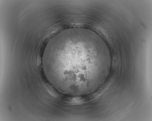 X0000113600173200909181359