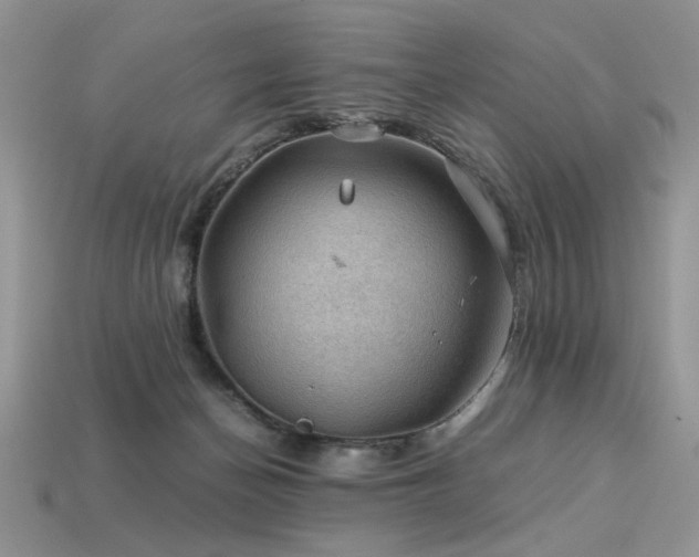 X0000113600174200909181359